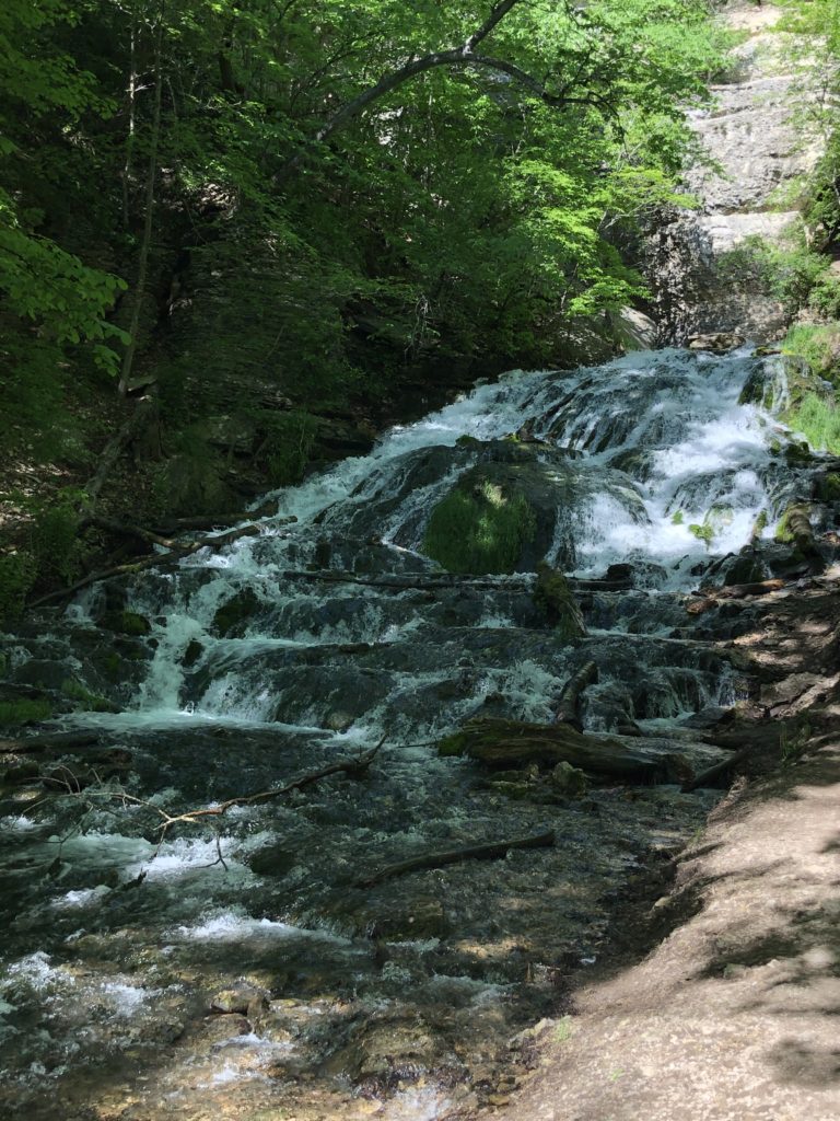 This image has an empty alt attribute; its file name is image-2-768x1024.jpeg